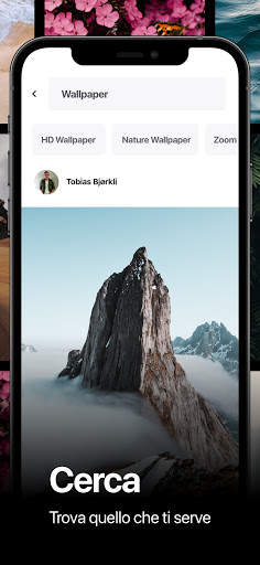 Pexels screenshot 3