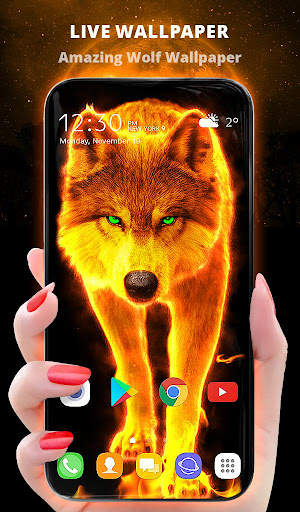 Fire Wallpaper Theme Lone Wolf screenshot 1