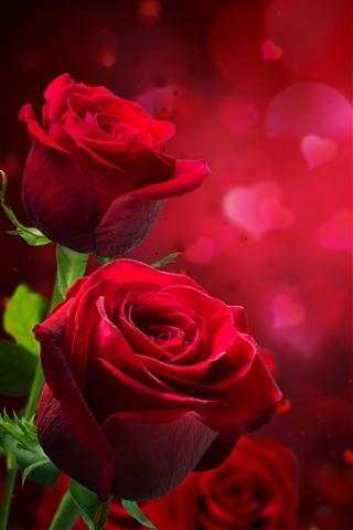 Flowers Love Images screenshot 1