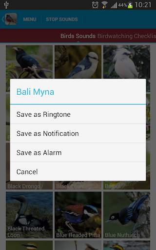 Asian Birds Sounds Free screenshot 7