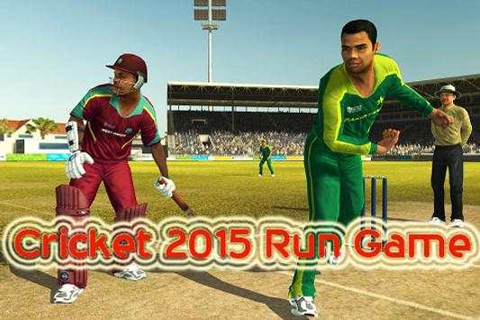 Best Cricket Game The Run screenshot 1
