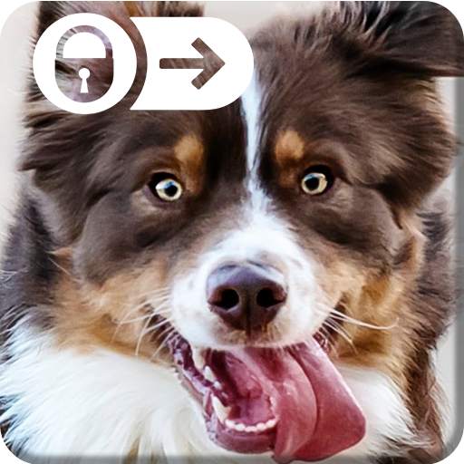 Funny Puppy Little Cute Dog Theme Nice Screen Lock 2.0