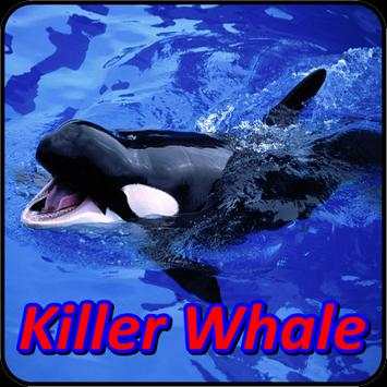 Whale Orca Soundboard screenshot 3