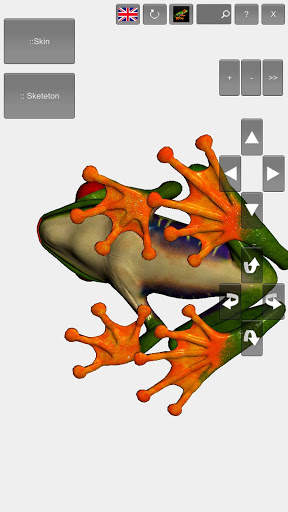 3D Frog Skeleton screenshot 8