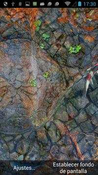 🐠 Koi aquarium 3D live wallpaper screenshot 3