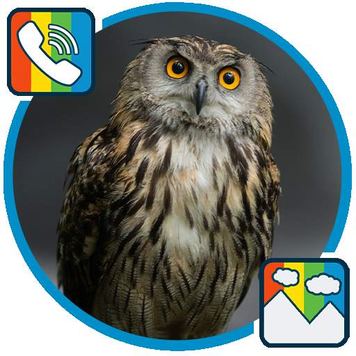 Owl - RINGTONES and WALLPAPERS 1.0