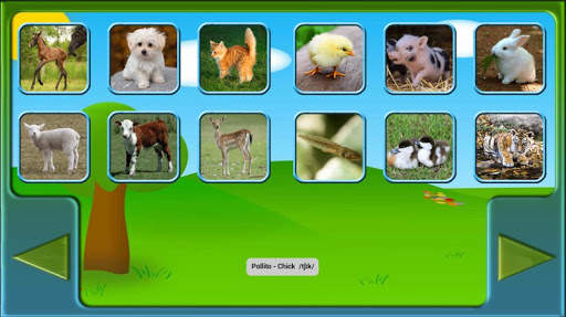 ANIMALES - ANIMALS screenshot 7