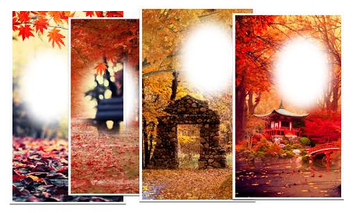 Autumn Photo Live Wallpaper screenshot 4