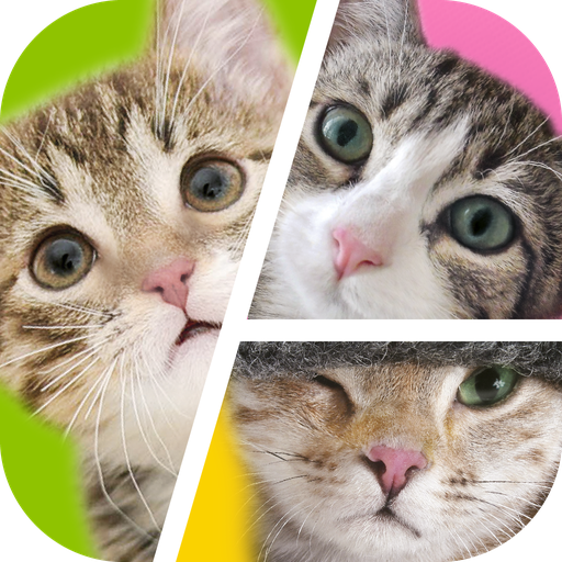 Cat Puzzles - Drag &amp; Swap icon