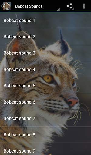Bobcat Sounds screenshot 1