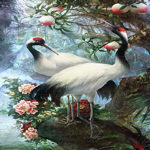 White Birds Live Wallpaper 3