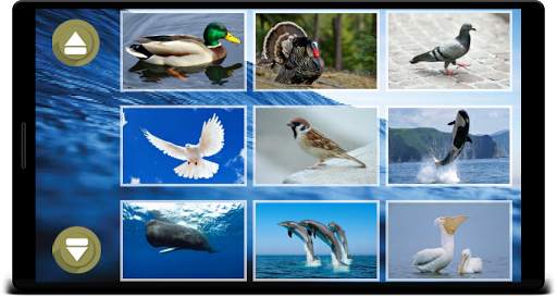 Animal Sounds screenshot 10