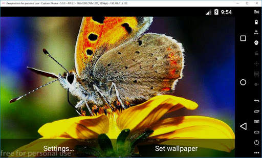 Ladybug 3D Live Wallpaper 16 تصوير الشاشة