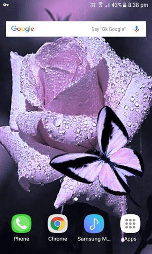 Purple Rose Butterfly LWP screenshot 3