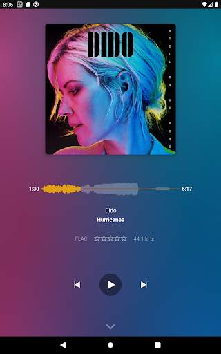 Plexamp screenshot 9