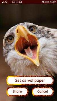 Birds HD Photo Frames and Live Wallpapers screenshot 13