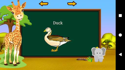 Animal and Birds sounds screenshot 5