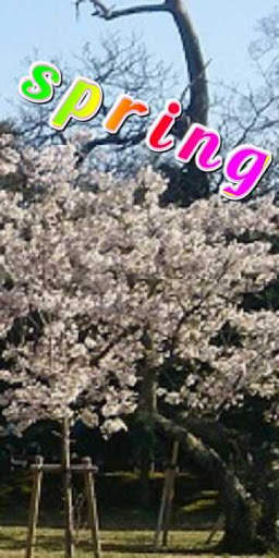 Add text on photo  -3D text on phonto screenshot 4