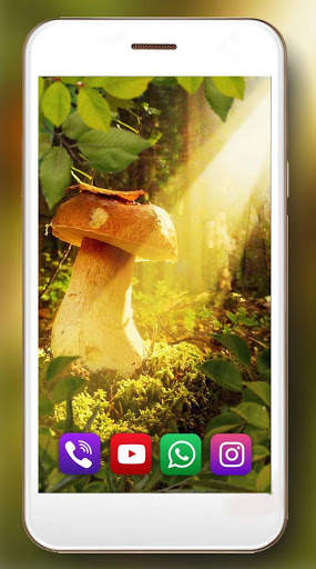 Mushrooms Forest Live Wallpaper screenshot 6