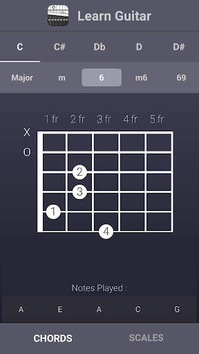Learn Guitar Chords & Scales screenshot 1