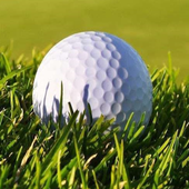 Mini Golf 3D icon
