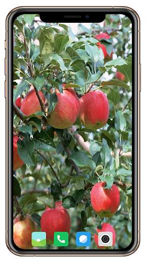 Fruit Trees Wallpaper HD screenshot 8