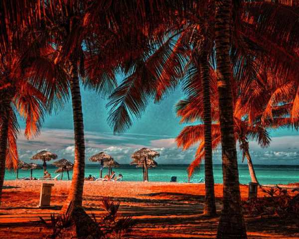 CB Background Free HD Wallpaper Images Themes screenshot 5