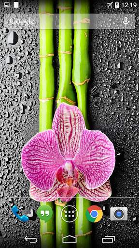 Orchid And Bamboo Wallpaper screenshot 2