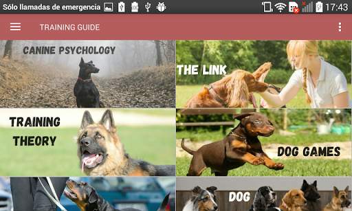 Dog Training Guide Offline screenshot 9