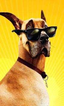 Petworld Dog Jigsaw Puzzles screenshot 1