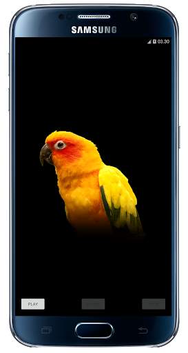 Suara Terapi Untuk Semua Jenis Burung screenshot 1