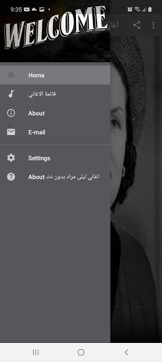 Laila Murad songs without Net 2020 screenshot 1