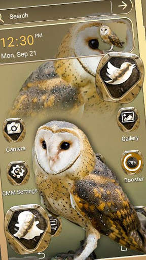 Owl Theme Launcher скриншот 1