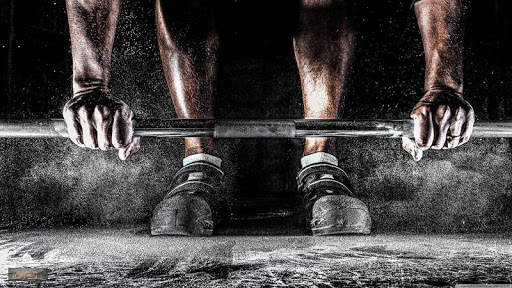 Workout Pro Lite screenshot 1