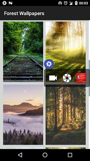 Forest Wallpapers - Tree Wallpaper screenshot 1