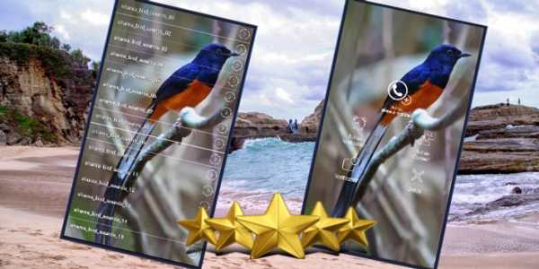 Shama Bird Sounds screenshot 1