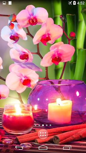 Orchid 4K Live Wallpaper screenshot 2