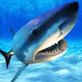 Angry Shark Killer Attack