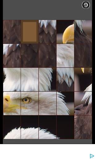 slide puzzle birds screenshot 2
