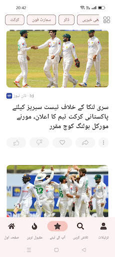 Urdu News screenshot 7