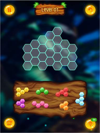 Block Puzzle - Hexa! Block Puzzle screenshot 13