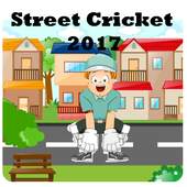 Street Cricket Game 2017 3.0