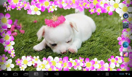 Flowers live photo frame screenshot 10