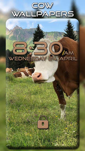 Cow Wallpapers screenshot 6
