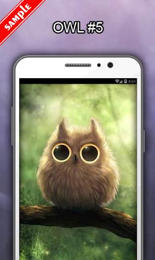 Owl Wallpapers screenshot 6