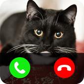 Fake call from cat 0.2
