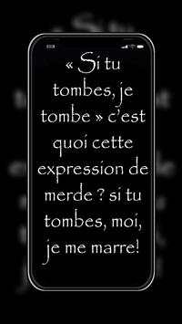 Status francais screenshot 6