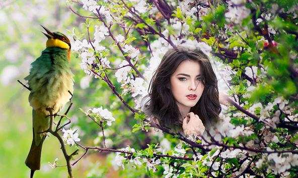 Birds Photo Frames HD screenshot 3