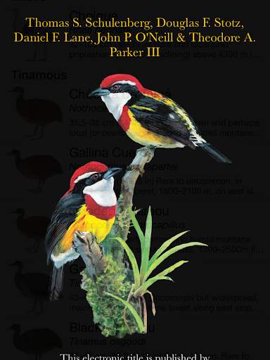 Birds of Peru screenshot 11