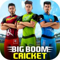 Aussie Cricket Championship